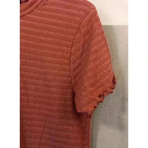 DEREK HEART PLUS Ladies 1X Turtleneck Ribbed Above The Knee Shift Dress Mauve - Picture 3 of 7